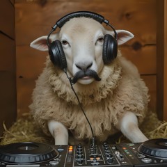 UNHINGED - The Cwtch - Sam Kitt