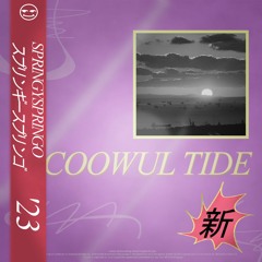 Coowul Tide