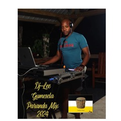 DJ_Lee Gumesela Paranda Mix 2024_25