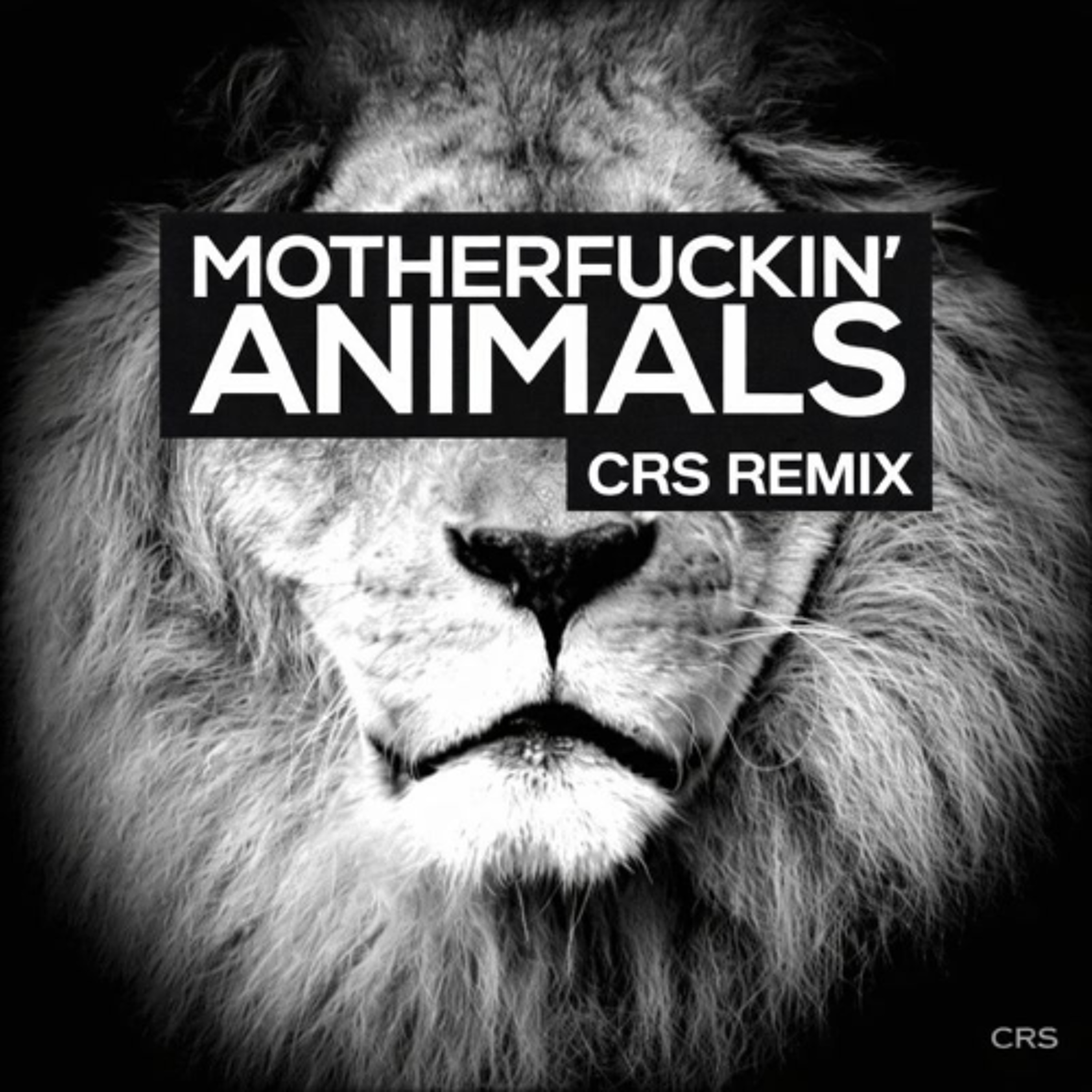 Animals episode artwork
