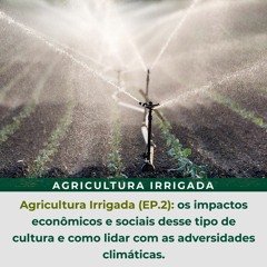 Agricultura Irrigada (ep.2): os impactos econômicos e sociais desse tipo de cultura