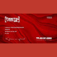 Lukas Freudenberger @ Tinnitus Afterhour (11.01.26)