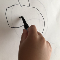 ザラメ (zarame)