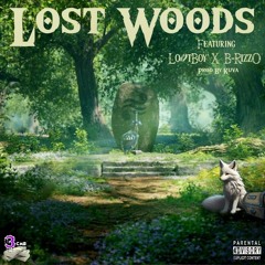 Lost Woods [Explicit] Lo$tBoy X B-RizzO [Prod. by Kuva]