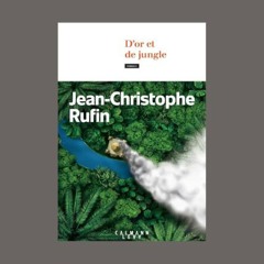 Jean-Christophe Rufin - D'or et de jungle