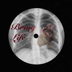 BRING LIFE DUB