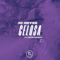 Celosa (Ruben Del Moral Edit)