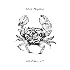 Shadi Megallaa - What Now (Melchior Productions Ltd Always Rising Remix) - SEAWEED006)