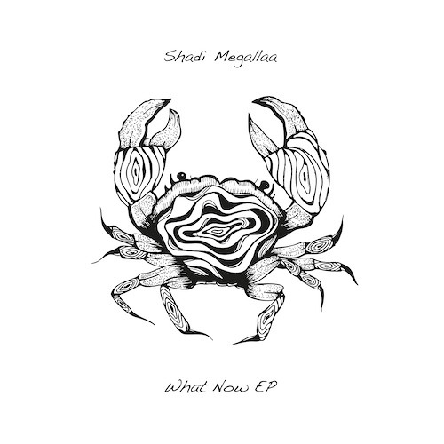 A2. Shadi Megallaa - What Now (Zlene & Mathias Hinds Remix) - SEAWEED006