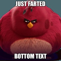 Angry Birds Phonk