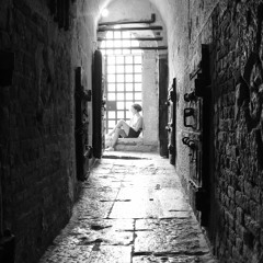 Blackbird (Lisa O'Neill Cover)