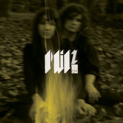 phiz - i lost my fkn mind