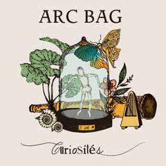 Cartéfact - ARC BAG