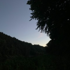 Within