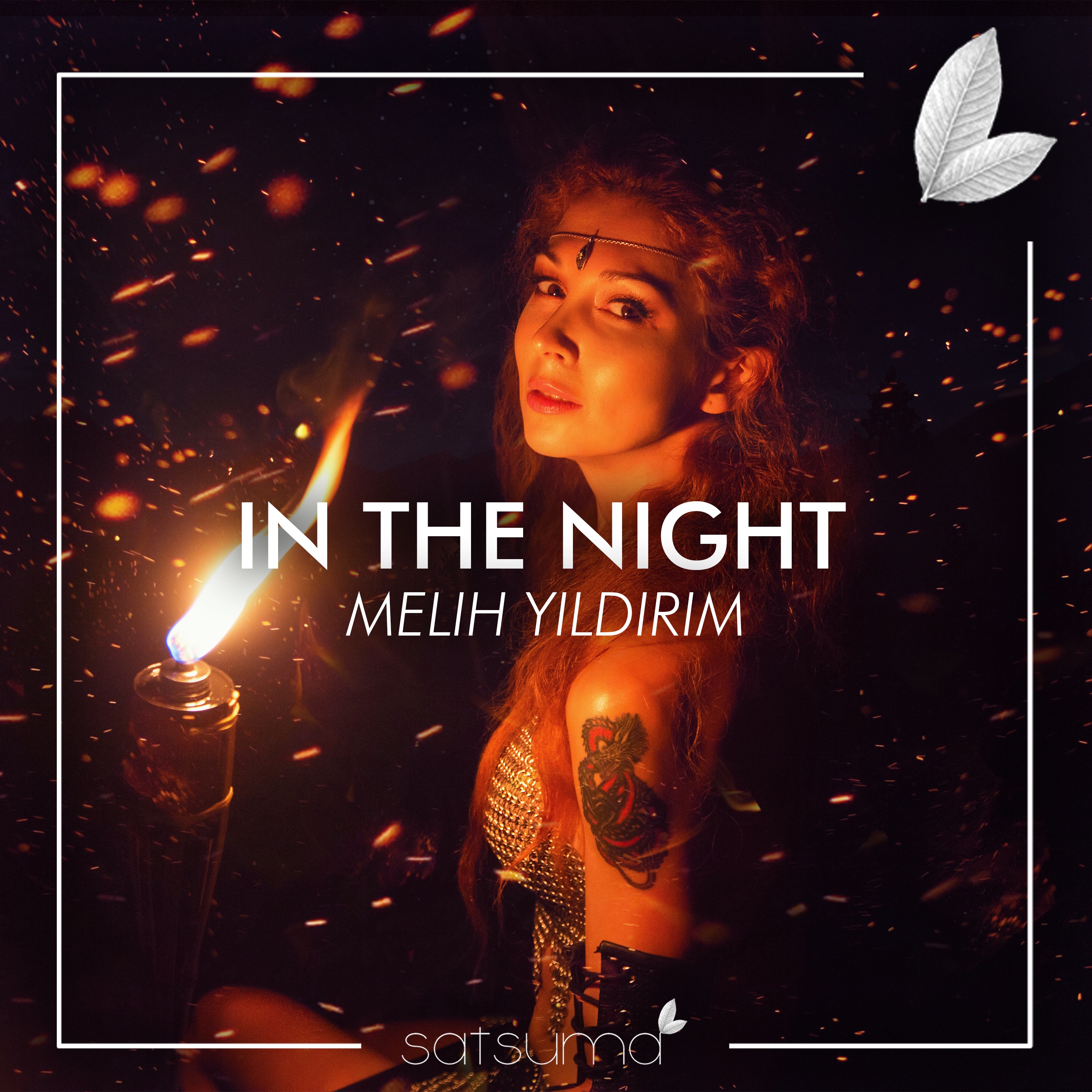 Melih Yıldırım - In The Night (Original Mix)