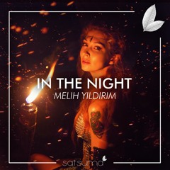 Melih Yıldırım - In The Night (Original Mix)