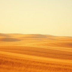 Where The Fields Align