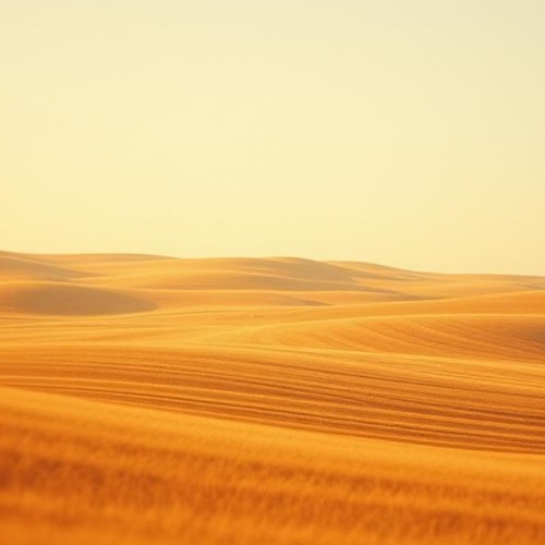 Where The Fields Align