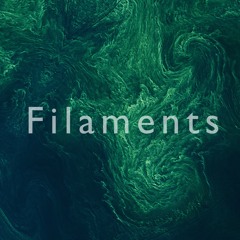 Filaments