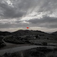 COLORBLIND [LIMITED DOWNLOADS]