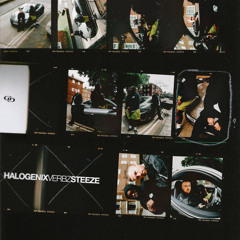 Halogenix, Verbz - Steeze