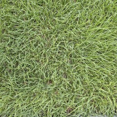 near a walk in the park