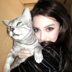 meow貓系傲嬌(prod.blazdini x over)