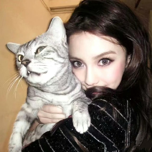 meow貓系傲嬌(prod.blazdini x over)