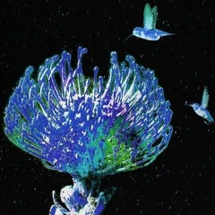 쏜애플(THORNAPPLE) - 매미는 비가 와도 운다 (Cicadas Cry Even Though It Rains) Unplugged Live ver..mp3