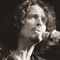 Like A Stone- Audioslave Acoustic Cover