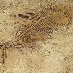 Better Off Without You [iPhone Demo]