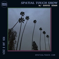 The Spatial Touch Show (w/ Goose Down) 1-8-24