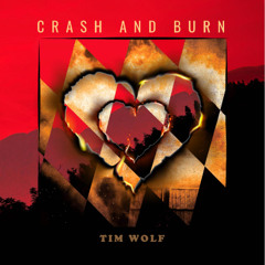 Crash and Burn (Tim Wolf Band Version)