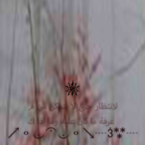270325 14 351