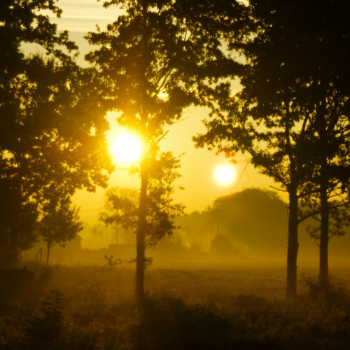 Sounds of nature