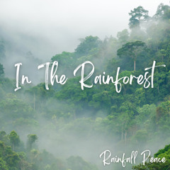 In The Rainforest