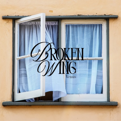 broken wing