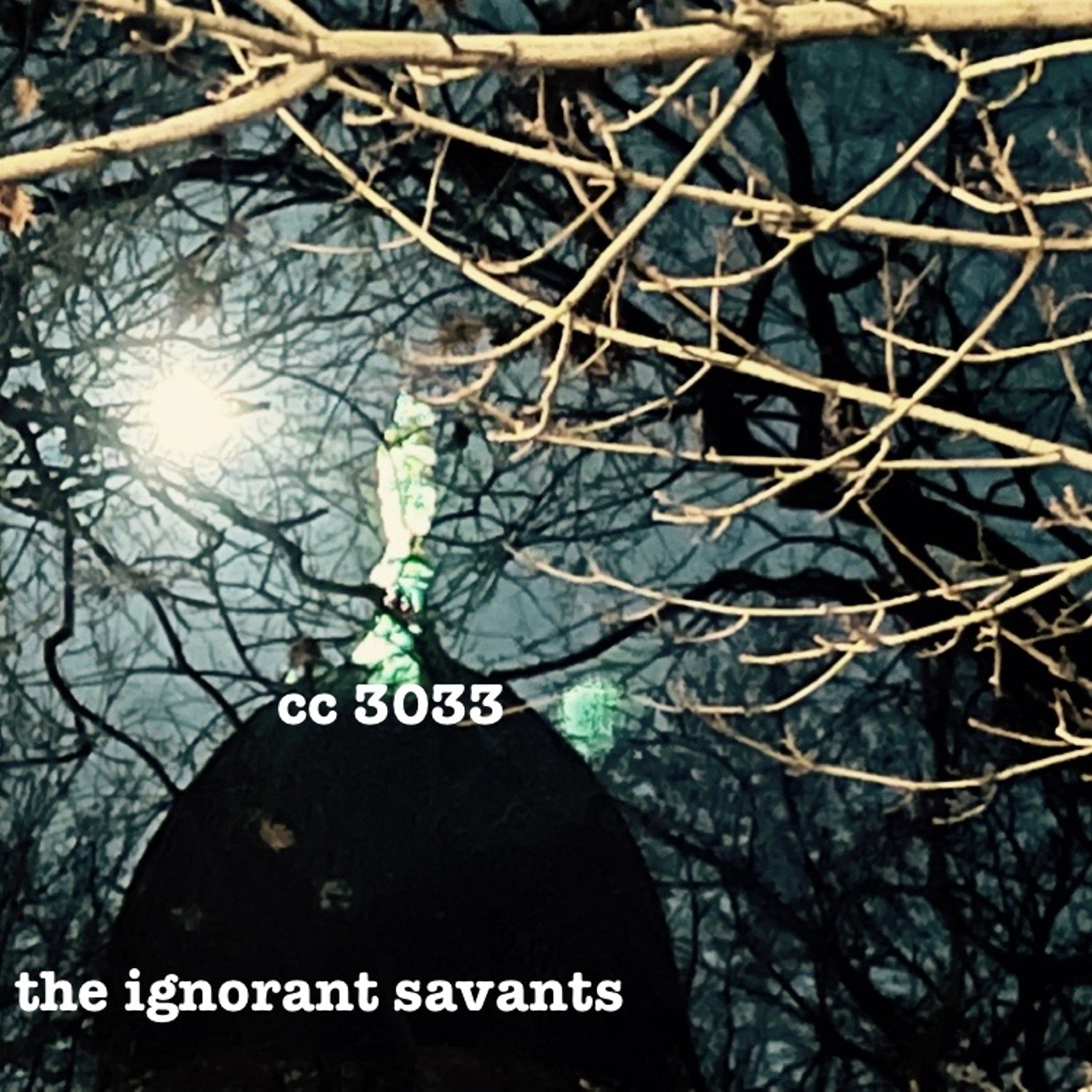 the ignorant savants