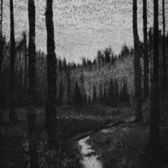 In The Woods