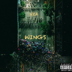WingsS