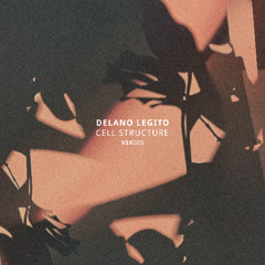 PREMIERE: Delano Legito - Sushi Girl [VSX005]
