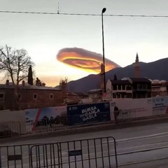 Blooming In Filth w/ CRISIS ACTING 020425