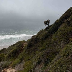 RunAway! (Prod. 2URALTER)