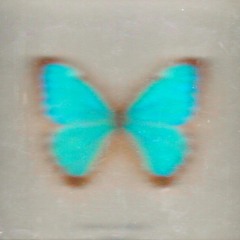 Jasperjasper- Oval Track And Back