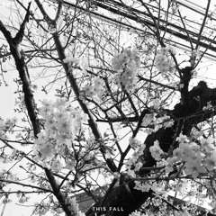 Ert - This Fall (Slowed & Reverb)