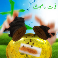 Fat Mammoth MM1 (w/ Aqua Coretta)