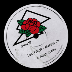 Alarms (BizZa Remix)