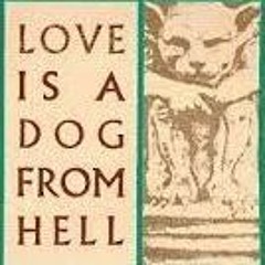 bukowski's domestic assault charges