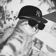 SARAN - สุรารัก Feat.PY-1