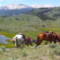 Montana